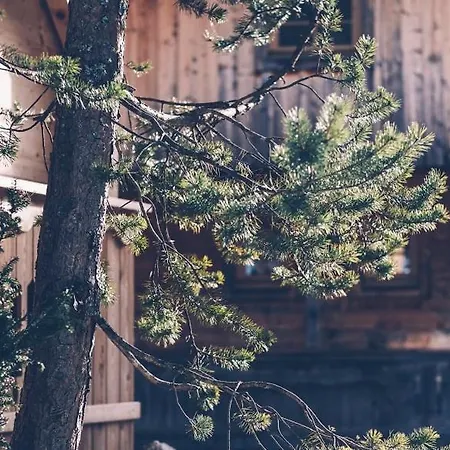 Almwellness-resort Tuffbad Σαλέ Sankt Lorenzen im Lesachtal