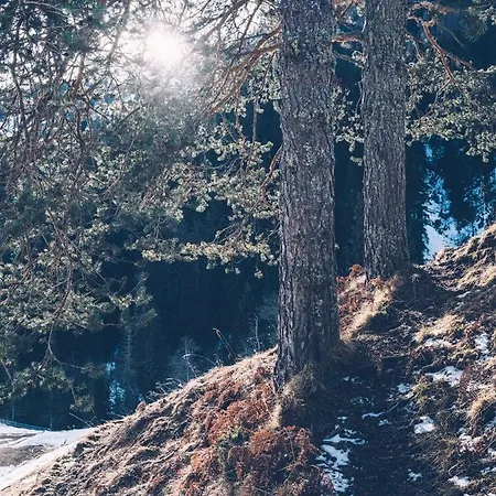 Almwellness-resort Tuffbad Sankt Lorenzen im Lesachtal