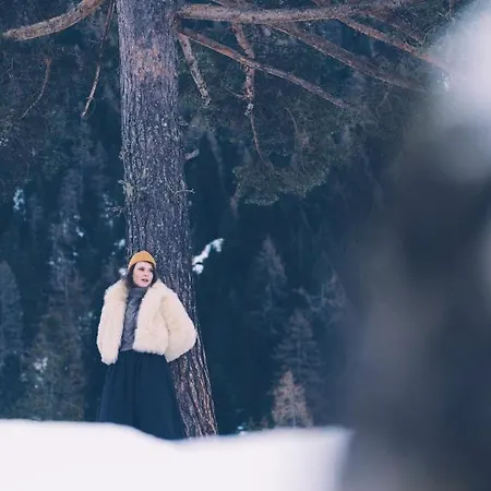 Almwellness-resort Tuffbad Chalet *