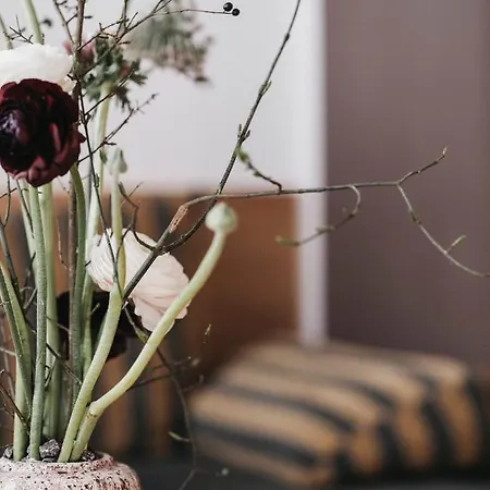 Almwellness-resort Tuffbad Σαλέ