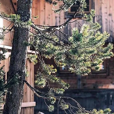 シャレー Almwellness-resort Tuffbad