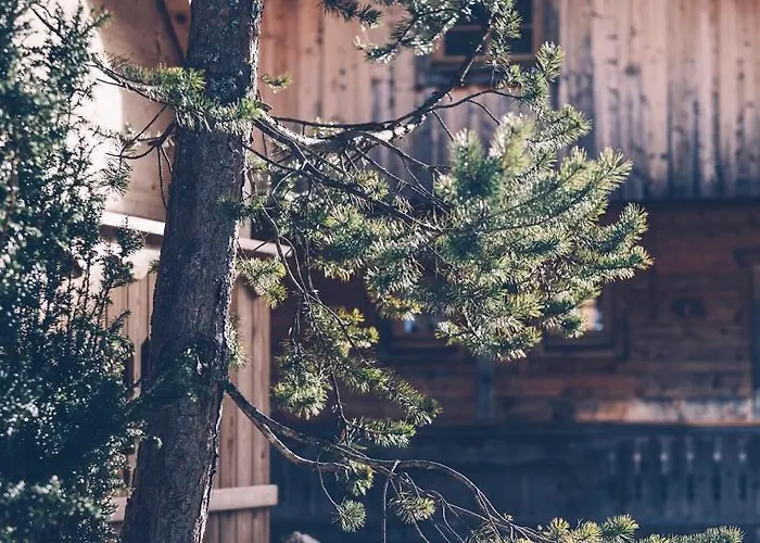 Almwellness-resort Tuffbad 木屋 Sankt Lorenzen im Lesachtal