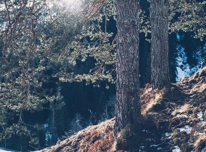 Almwellness-resort Tuffbad Sankt Lorenzen im Lesachtal