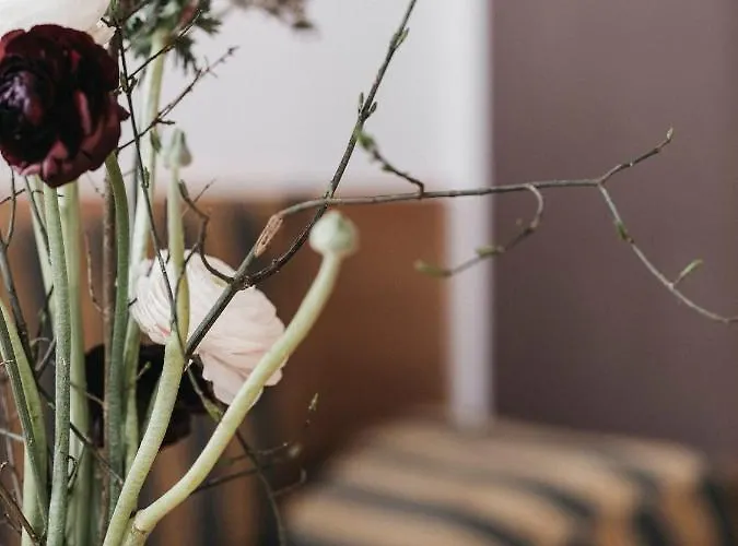 Almwellness-resort Tuffbad 木屋