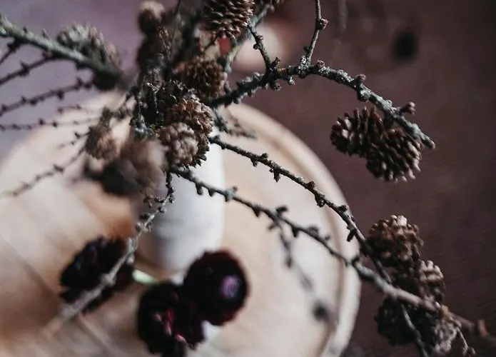 木屋 Almwellness-resort Tuffbad *