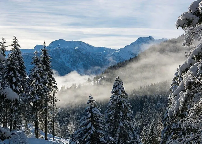 Almwellness-resort Tuffbad Domek alpejski *